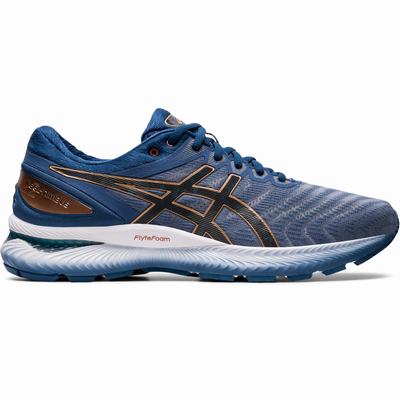 Férfi Asics Gel-Nimbus 22 (2E) Futócipő AS8637140 Szürke/MélySzürke